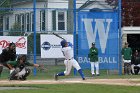 Baseball vs Babson  Wheaton College Baseball vs Babson during NEWMAC Championship Tournament. - (Photo by Keith Nordstrom) : Wheaton, baseball, NEWMAC